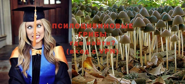 мдпв Баксан