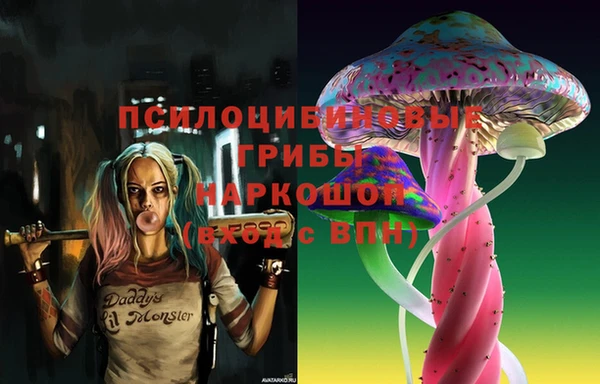 МДПВ Балахна