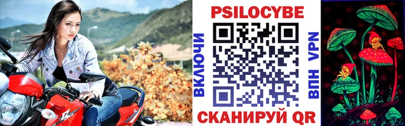 это Telegram Шарья Галлюциногенные грибы мицелий