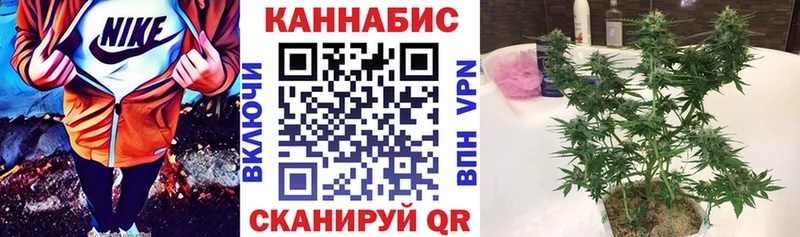 купить наркотики цена  Шарья  Марихуана White Widow 